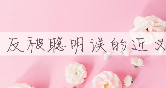 用聪明反被聪明误造句