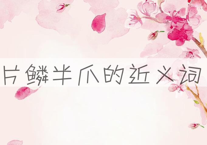 用片鳞半爪造句