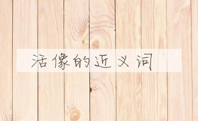 用活像造句