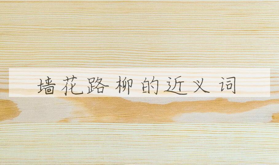 用墙花路柳造句