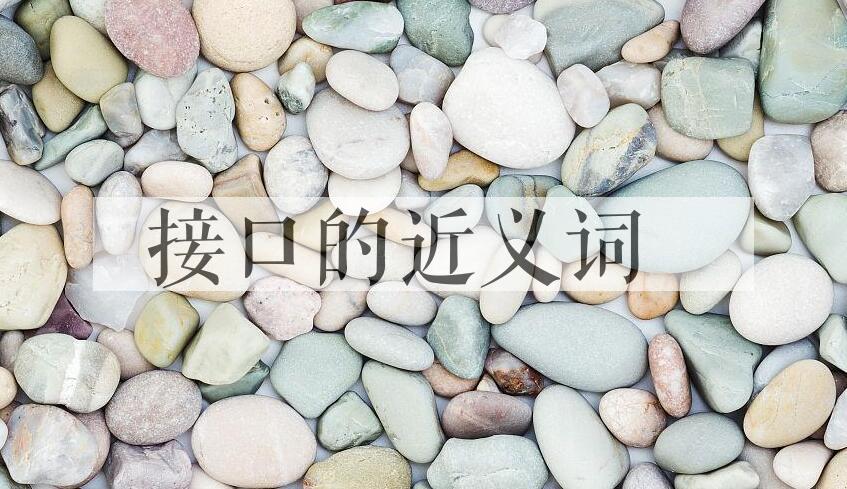 用接口造句