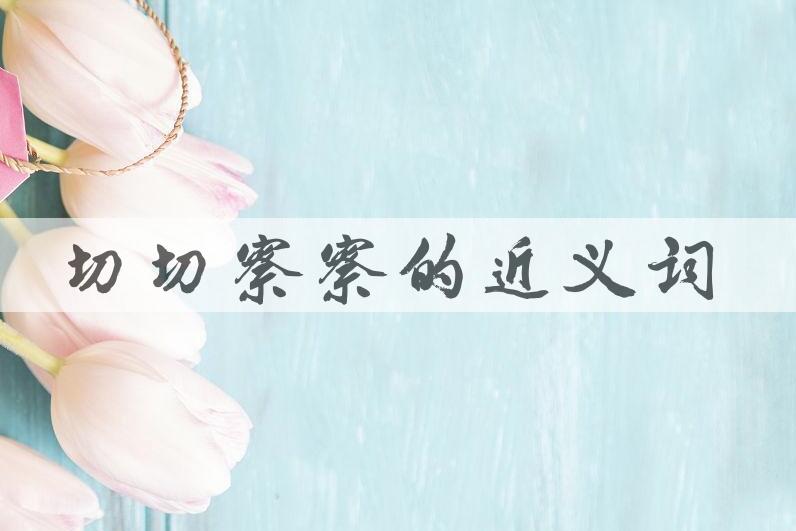 用切切察察造句