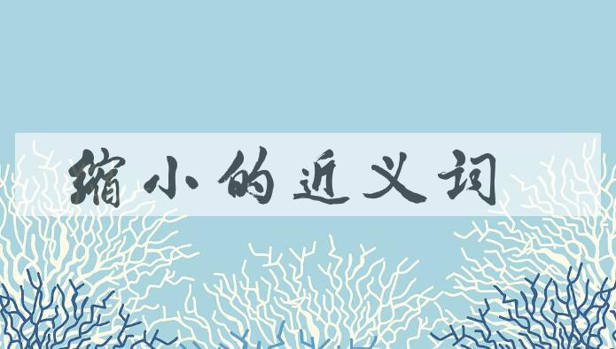 用缩小造句