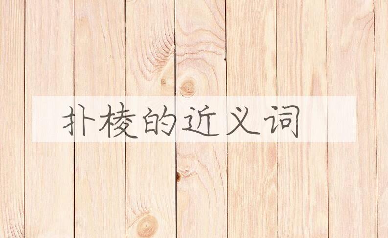 用扑棱造句