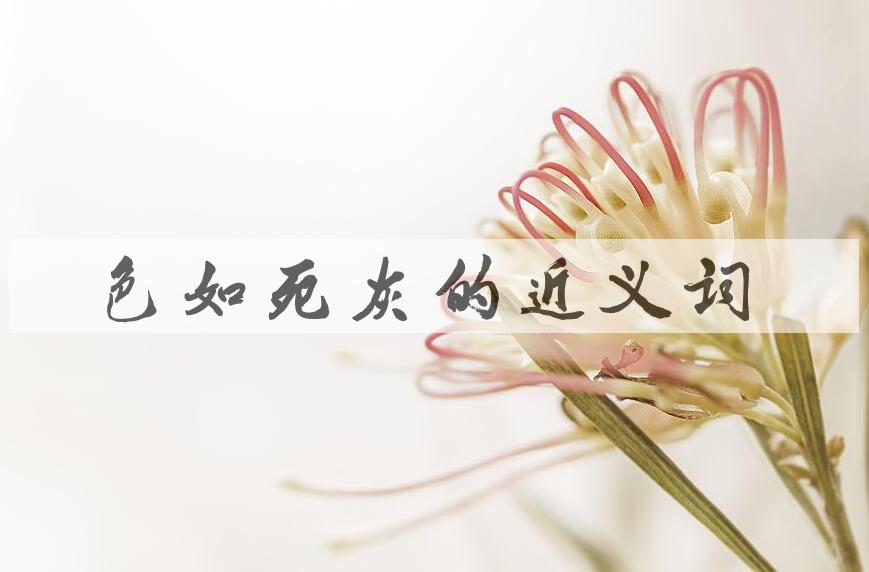 用色如死灰造句