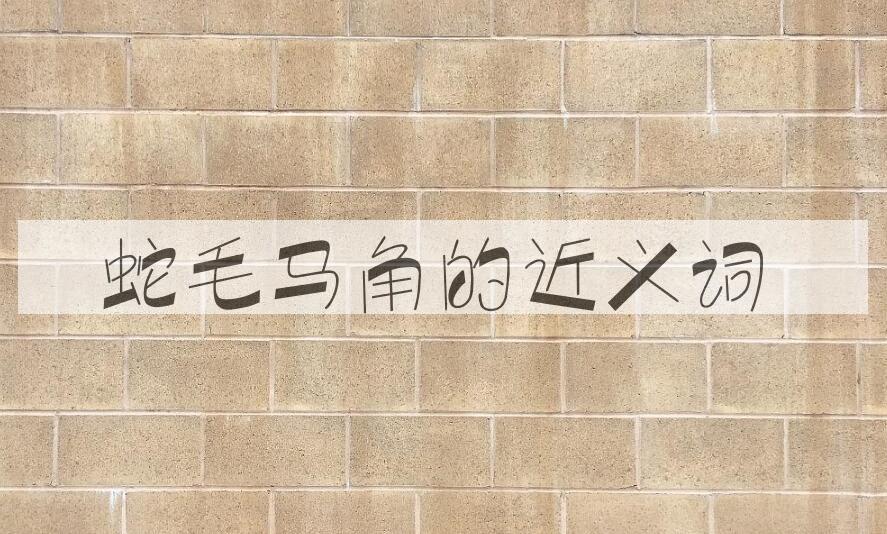 用蛇毛马角造句