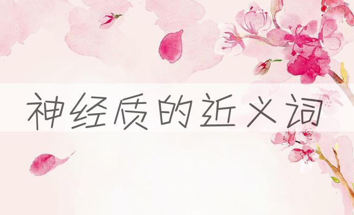 用神经质造句