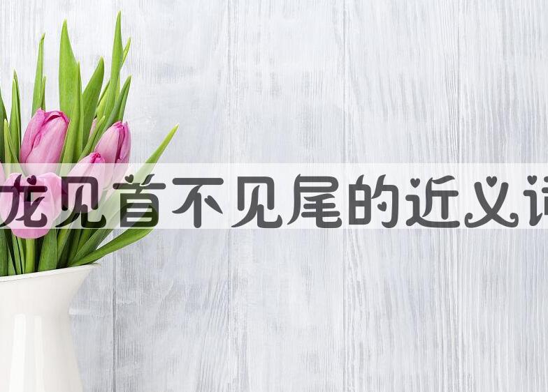 用神龙见首不见尾造句