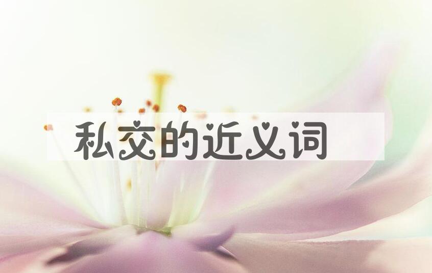 用私交造句