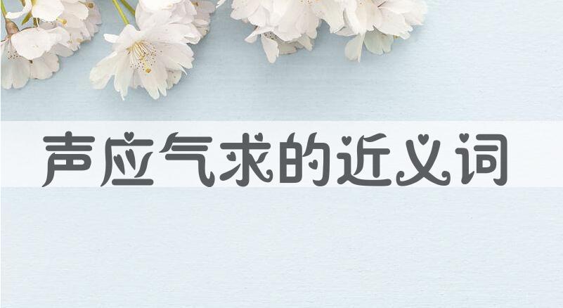 用声应气求造句