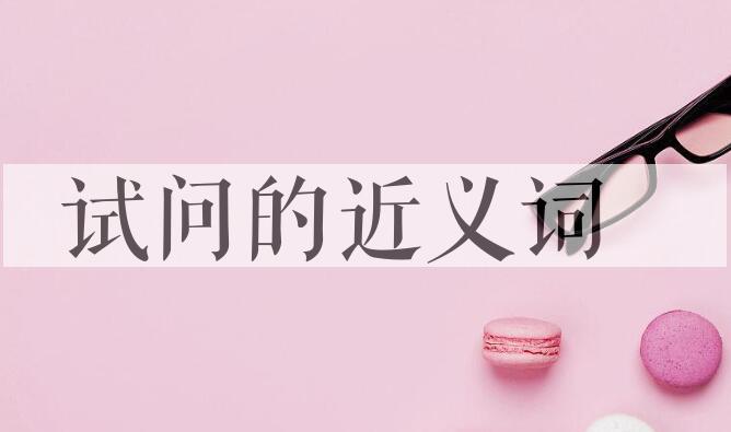 用试问造句