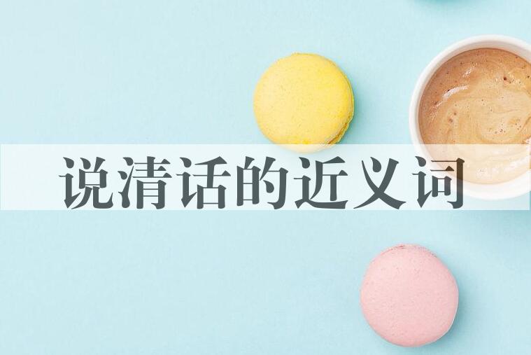 用说清话造句