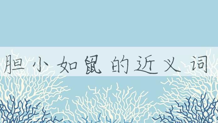 用胆小如鼠造句