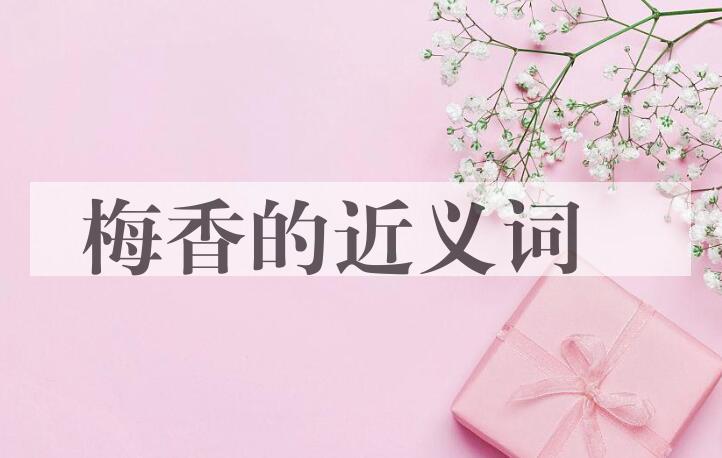 用梅香造句