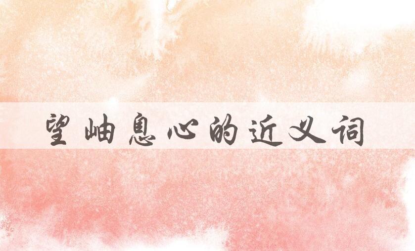 用望岫息心造句