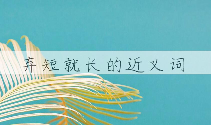 用弃短就长造句