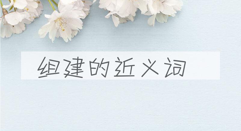 用组建造句