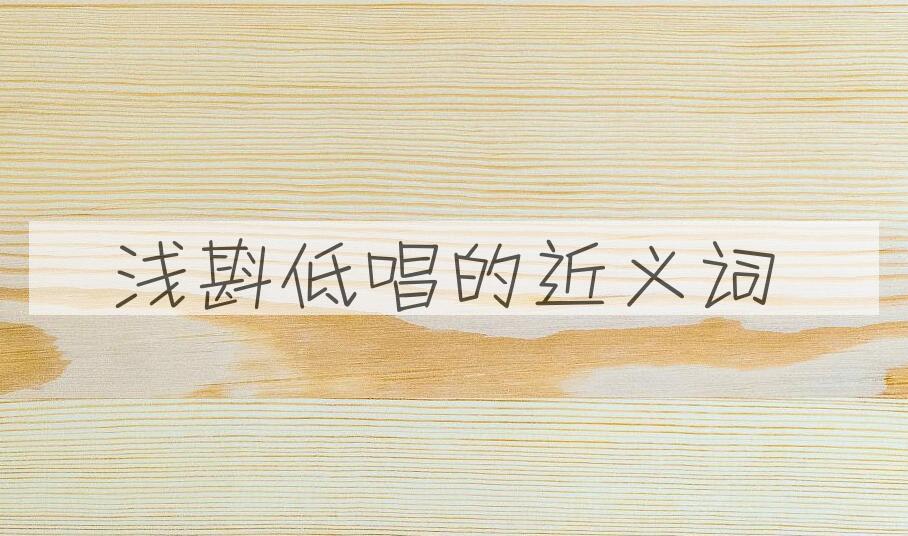 用浅斟低唱造句