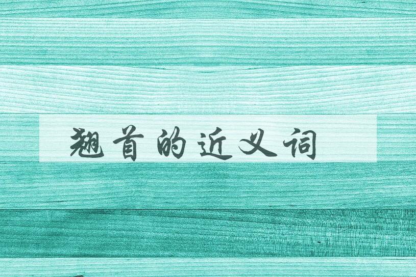 用翘首造句