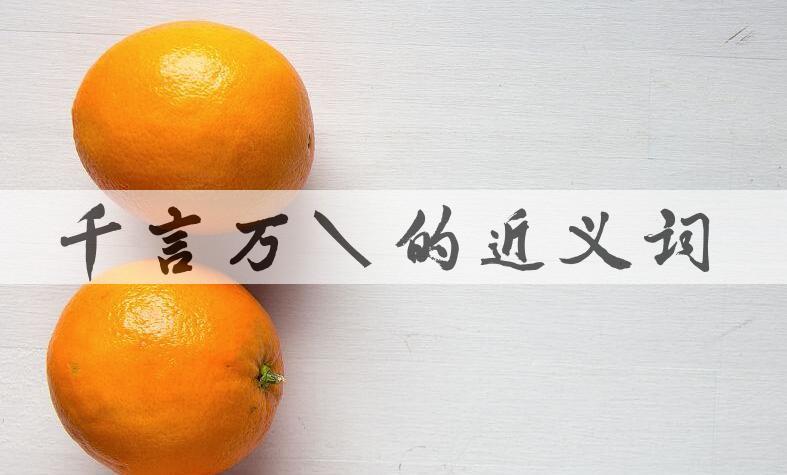 用千言万说造句