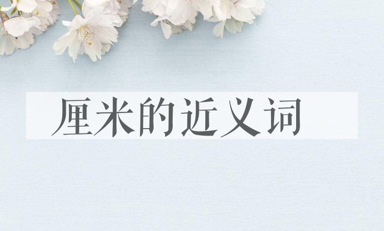 用厘米造句