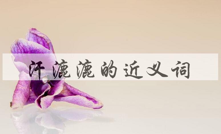 用汗漉漉造句