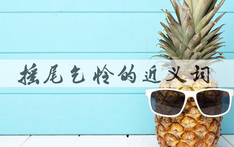 用摇尾乞怜造句