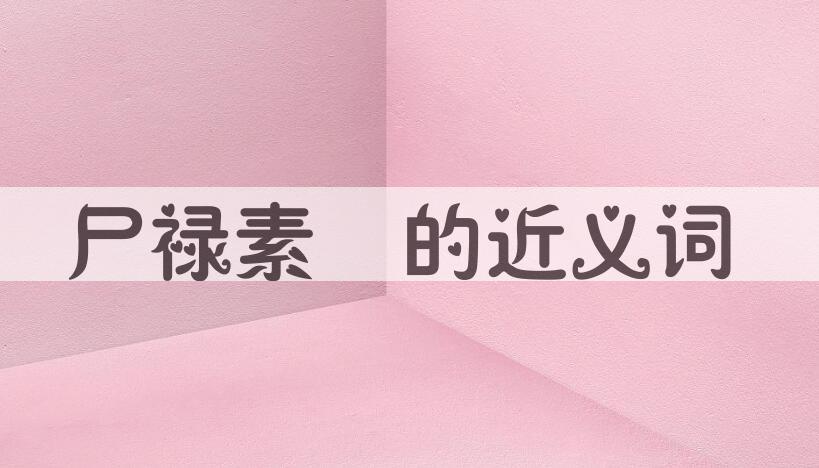 用尸禄素飡造句