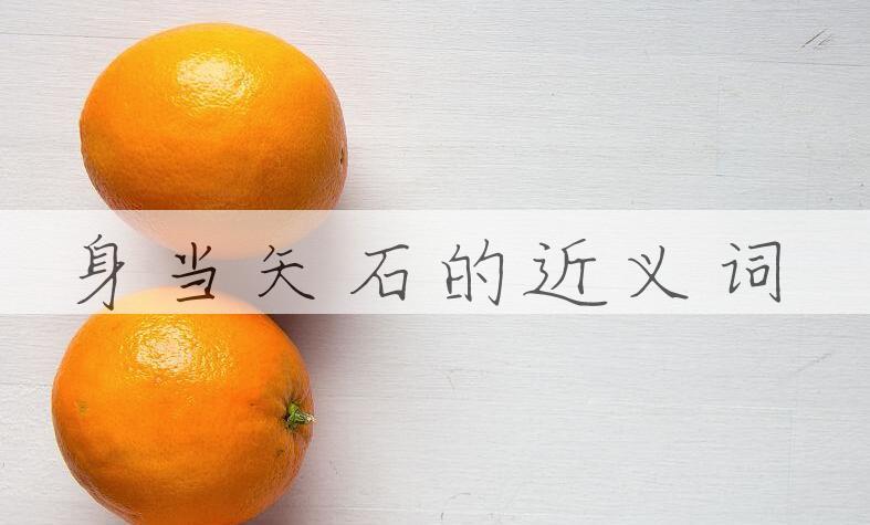 用身当矢石造句