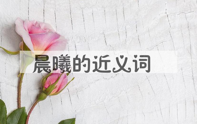 用晨曦造句