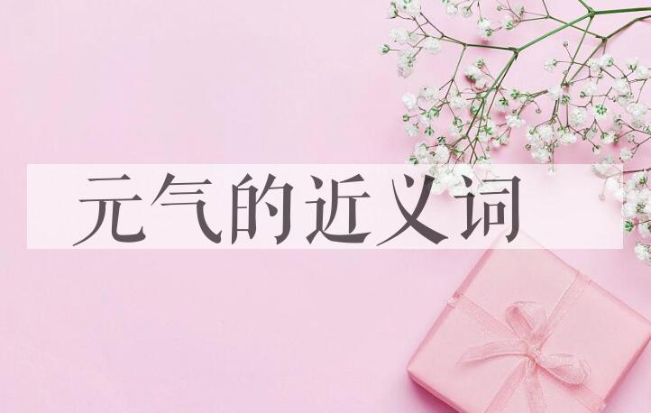 用元气造句