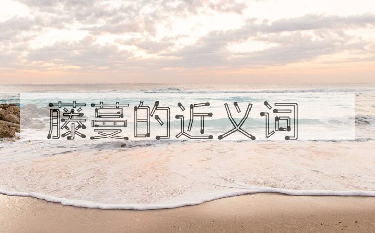 用藤蔓造句