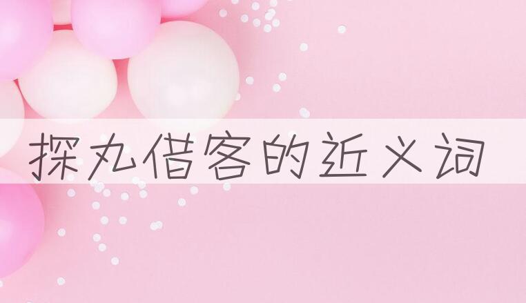 用探丸借客造句