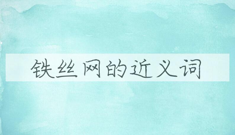 用铁丝网造句