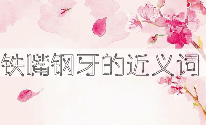 用铁嘴钢牙造句