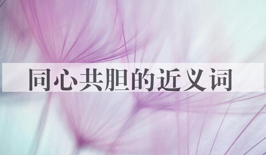 用同心共胆造句