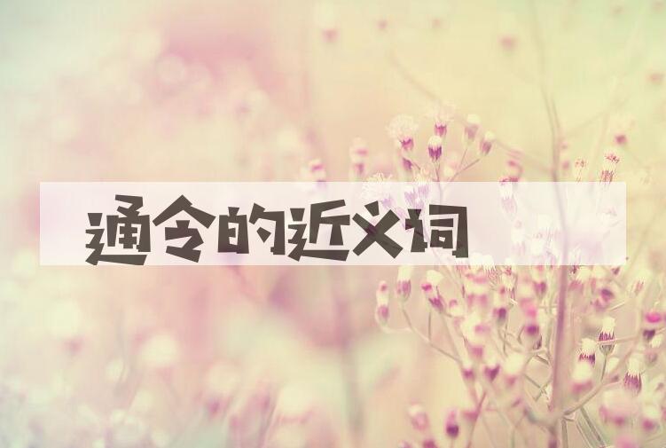 用通令造句