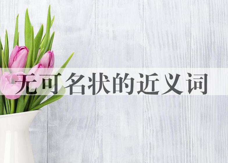 用无可名状造句