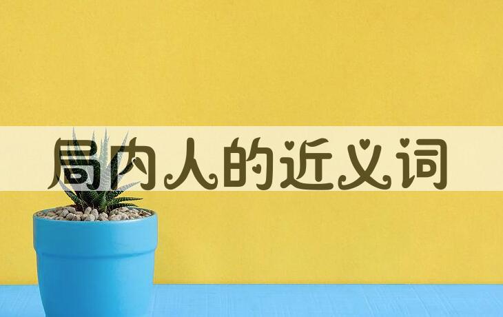 用局内人造句