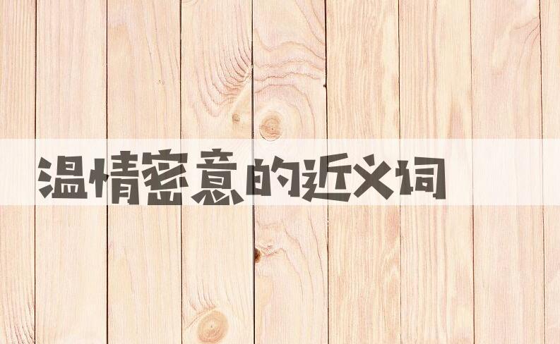 用温情密意造句