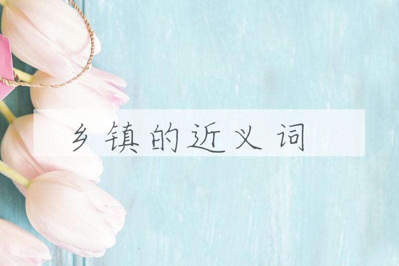 用乡镇造句