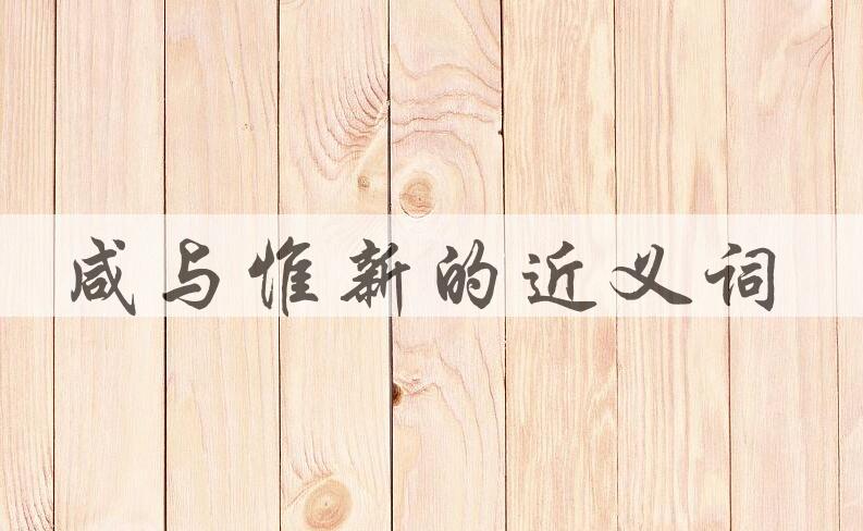 用咸与惟新造句