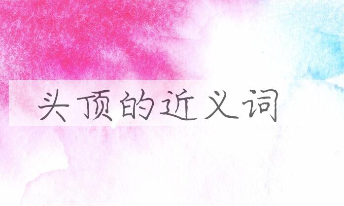 用头顶造句