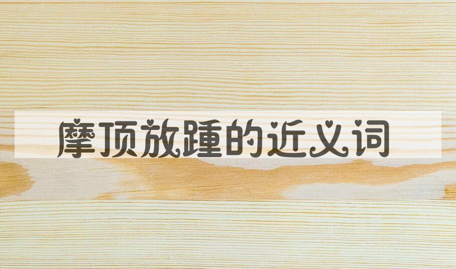 用摩顶放踵造句