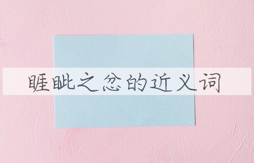 用睚眦之忿造句