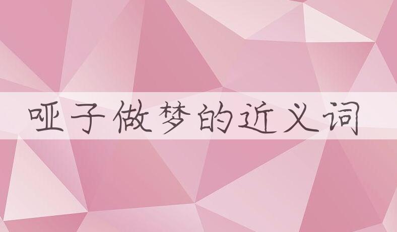 用哑子做梦造句