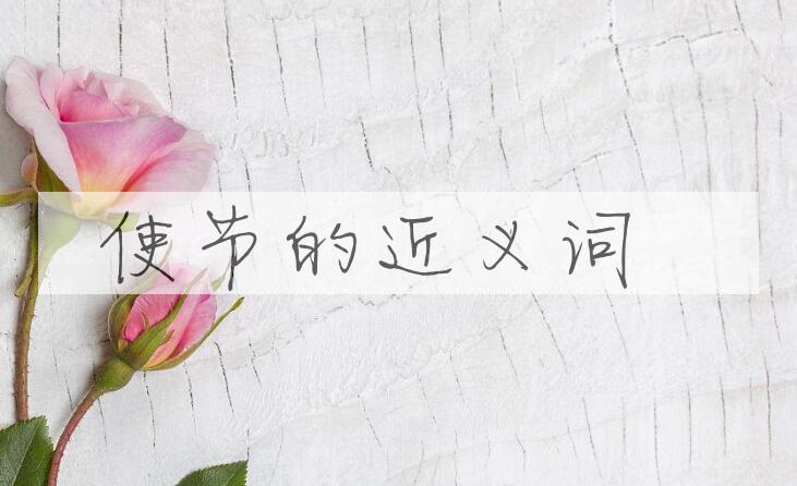 用使节造句