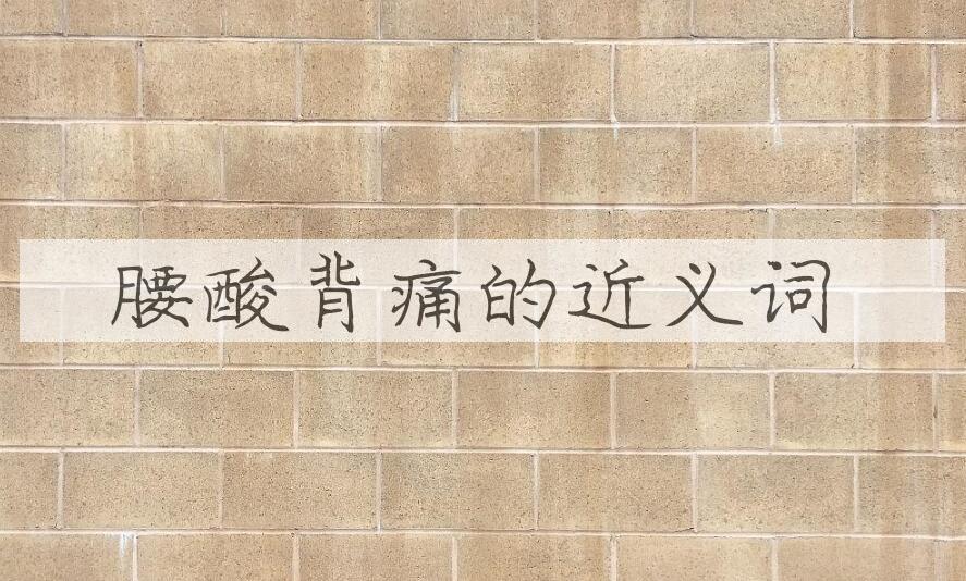 用腰酸背痛造句
