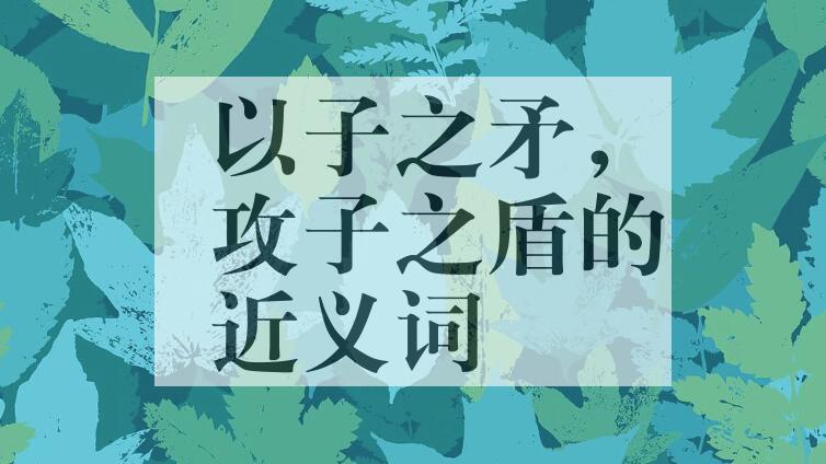 用以子之矛，攻子之盾造句