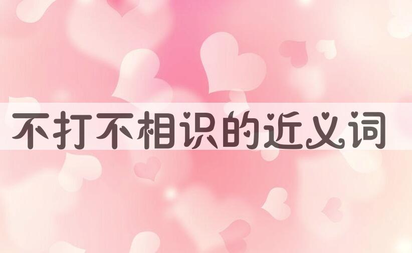 用不打不相识造句